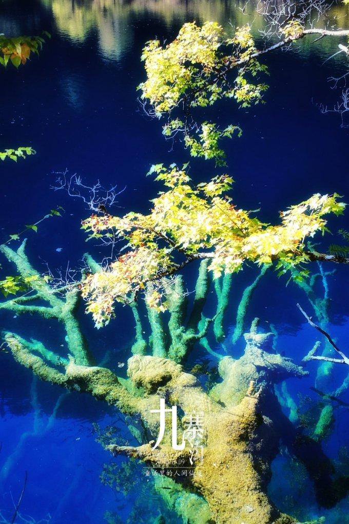 海底世界填颜色5