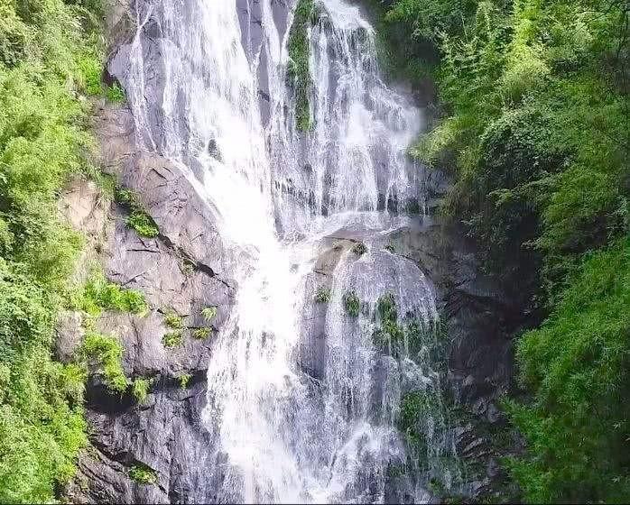 空闲农场